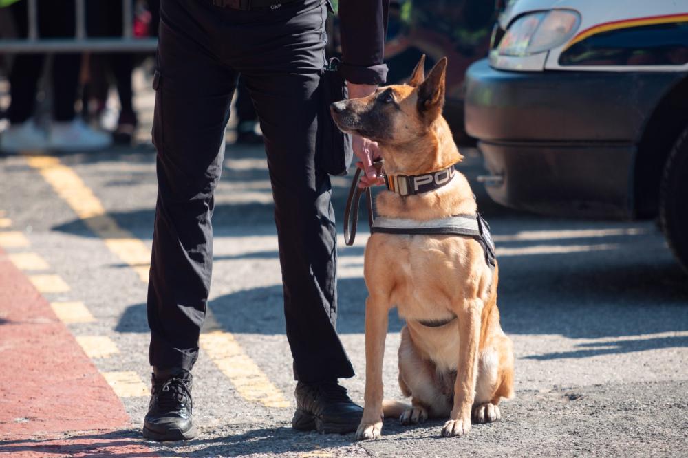 agent-secu-chien